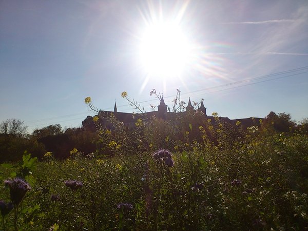 Couvent de l'Oelenberg