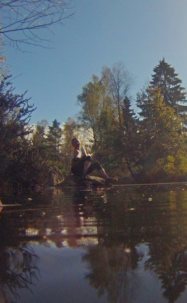 la vénus Brujor