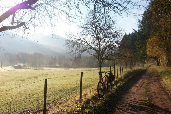 Paysages d' automne nov 2012 001.JPG