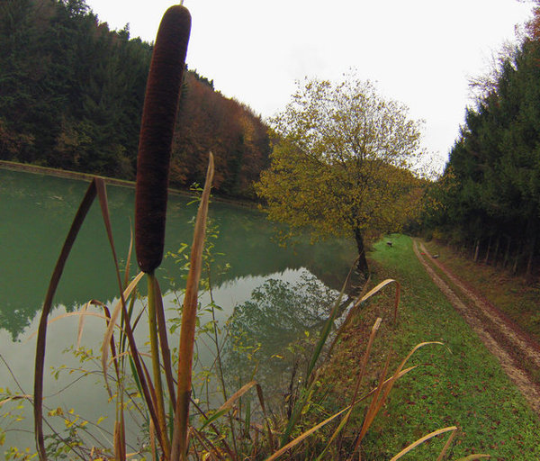 près de Raedersdorf