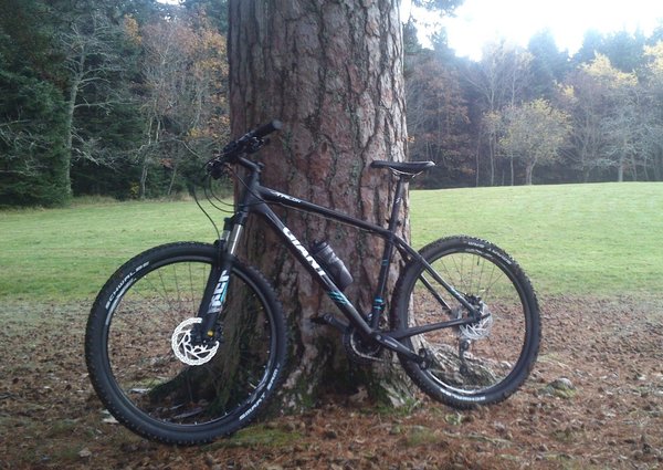 n'étant pas trop doué en selfi et n'ayant pas trouvé de retardateur sur mon téléphone portable je vous présente déjà mon vélo...