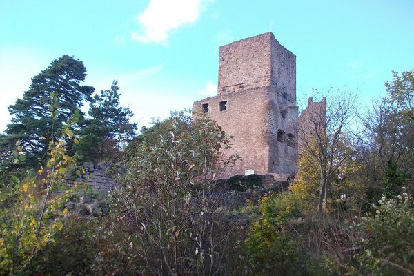 sortie automne 007.JPG