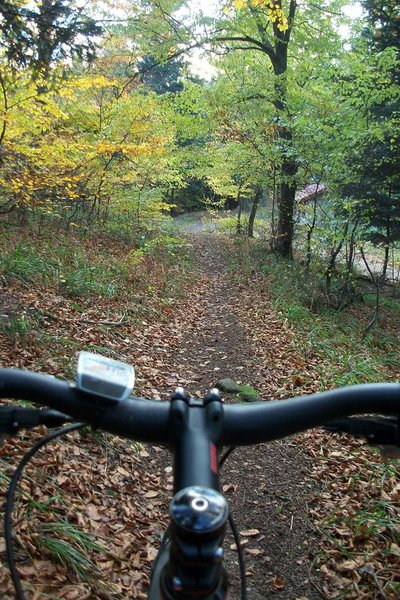 sortie automne 008.JPG