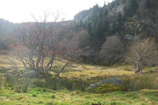 22 novembre 2014 012.JPG