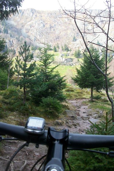 22 novembre 2014 008.JPG