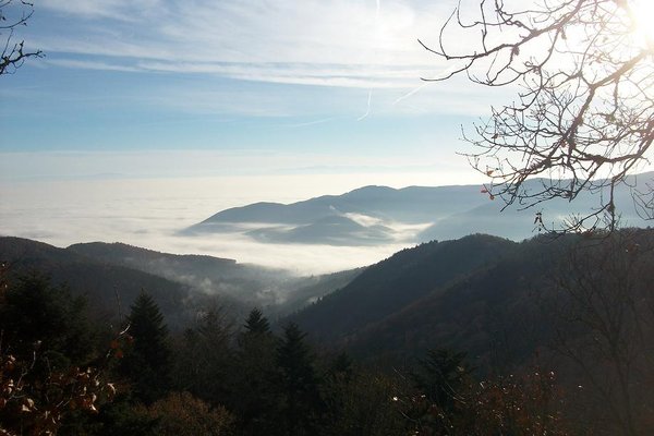 22 novembre 2014 006.JPG