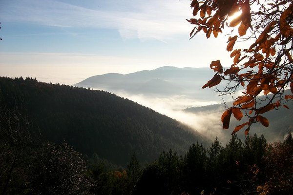 22 novembre 2014 004.JPG