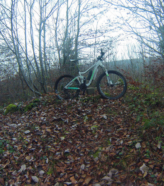 sentier arrivant au camping de Bendorf