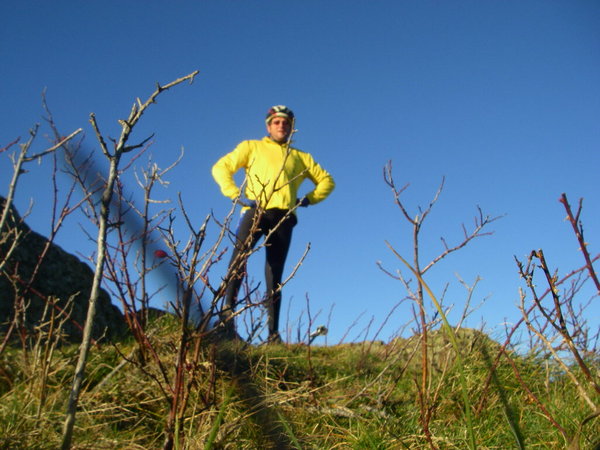 Denis le roi de la montagne