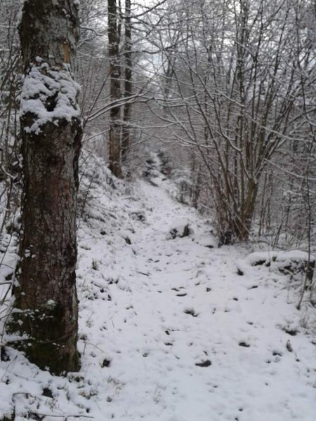 WP_000800.jpg
