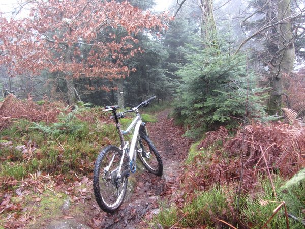 IMG_2015.jpg (487.03 Kio) Vu 640 fois Sur la crête