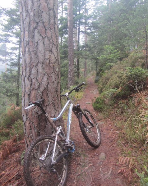 IMG_2020.jpg (399.8 Kio) Vu 490 fois Sur le sentier des amoureux, avant la roche du Kiosque