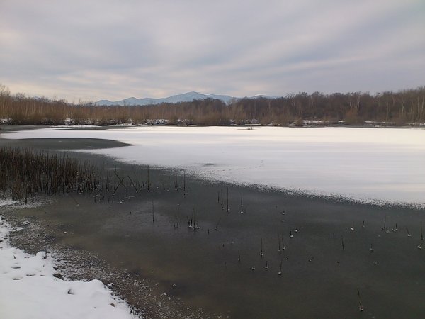 DSC_0103.jpg
