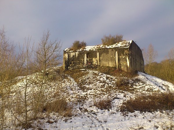 DSC_0107.jpg