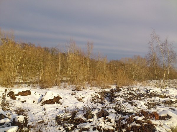 DSC_0108.jpg
