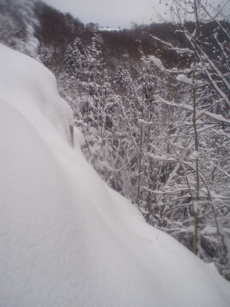 la pente sur un des passages ! Au fond en blanc le pâturage de la Waldmatt