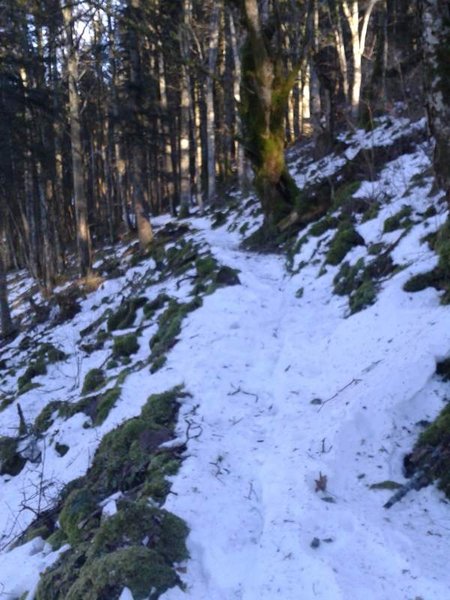 WP_000867.jpg
