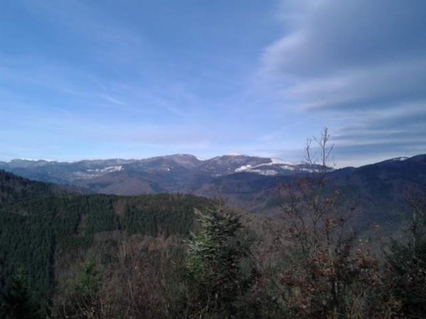 WP_000896.jpg