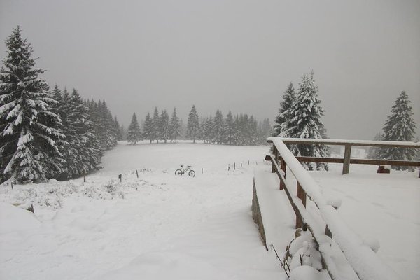 Vue du chalet Erikson