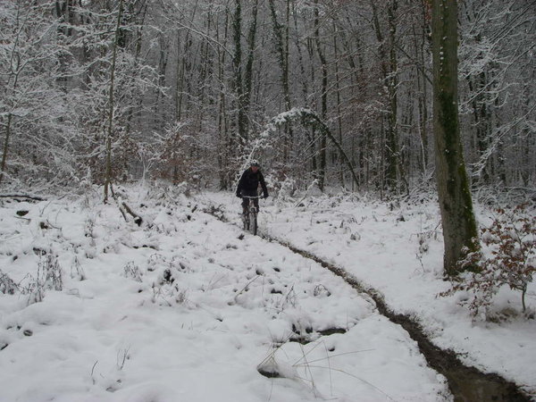 IMGP0001_6.JPG