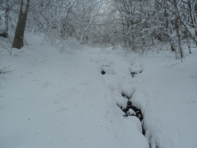 la montée le long du ruisseau