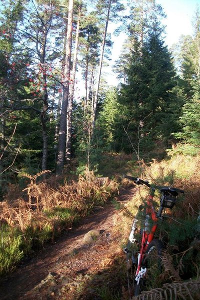 Sortie du 18 nov 006.JPG