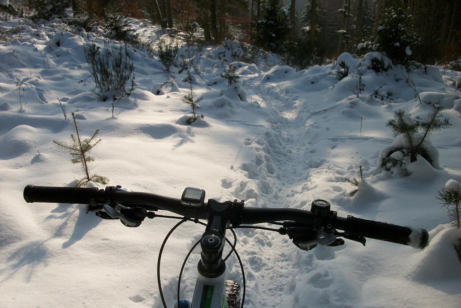 Journée glacial 007.JPG