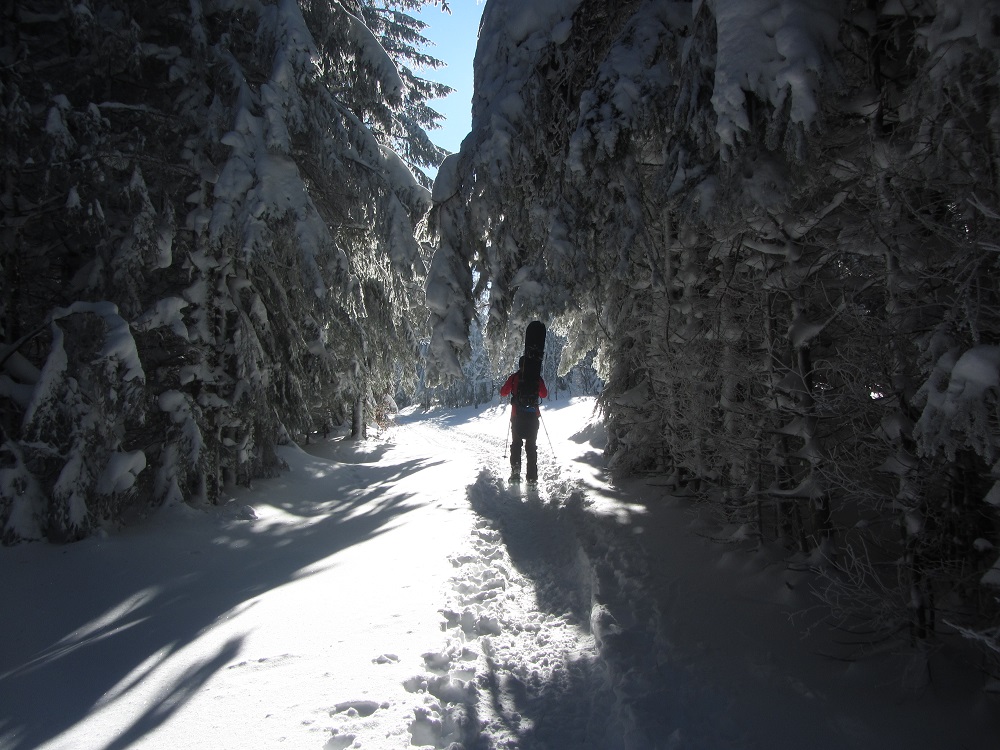 Montée au dessus du Lac noir