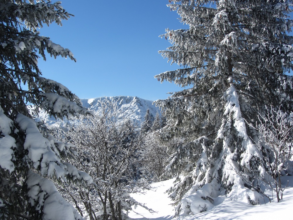 Taubenklangfelsen depuis la Fôret magique