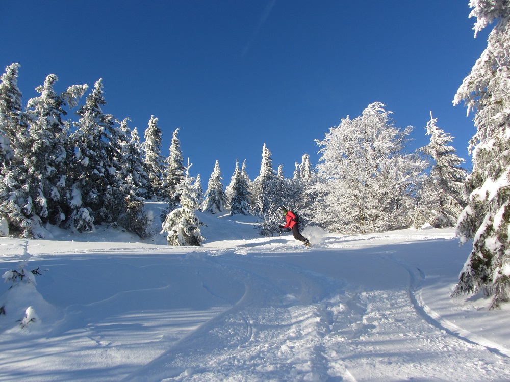 Virages jouissifs dans la forêt magique