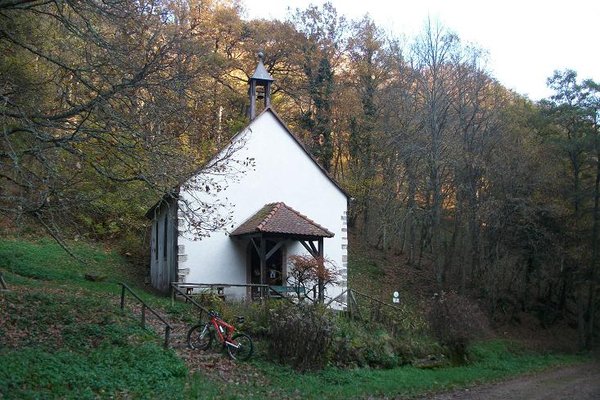 Sortie du 18 nov 001.JPG
