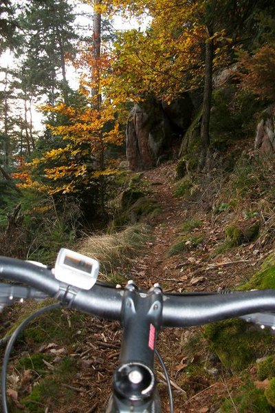 Sortie du 18 nov 010.JPG