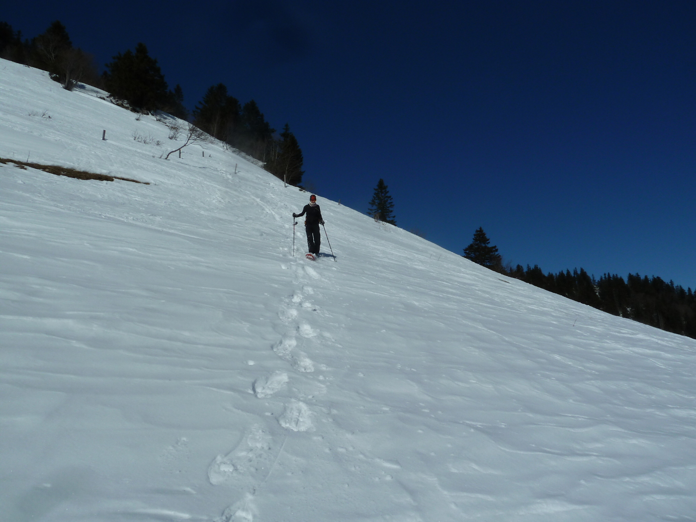 P1150213.JPG