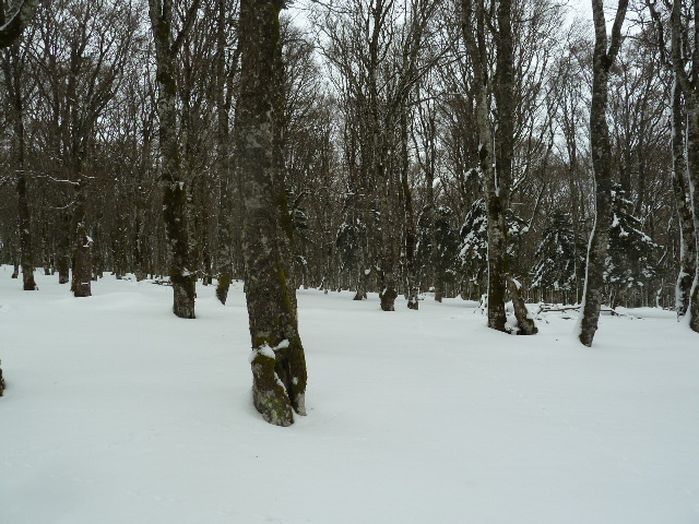 P1150261.JPG