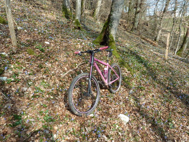 il est pas beau mon vélo?