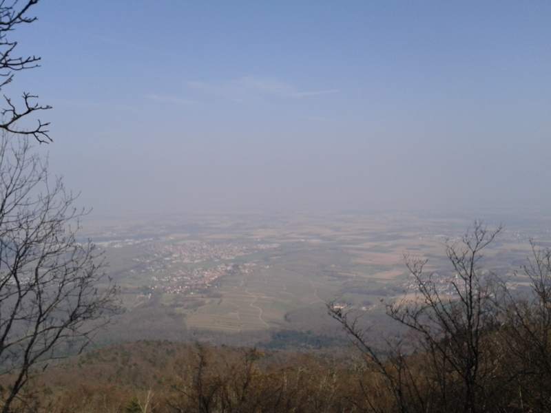 WP_000984.jpg