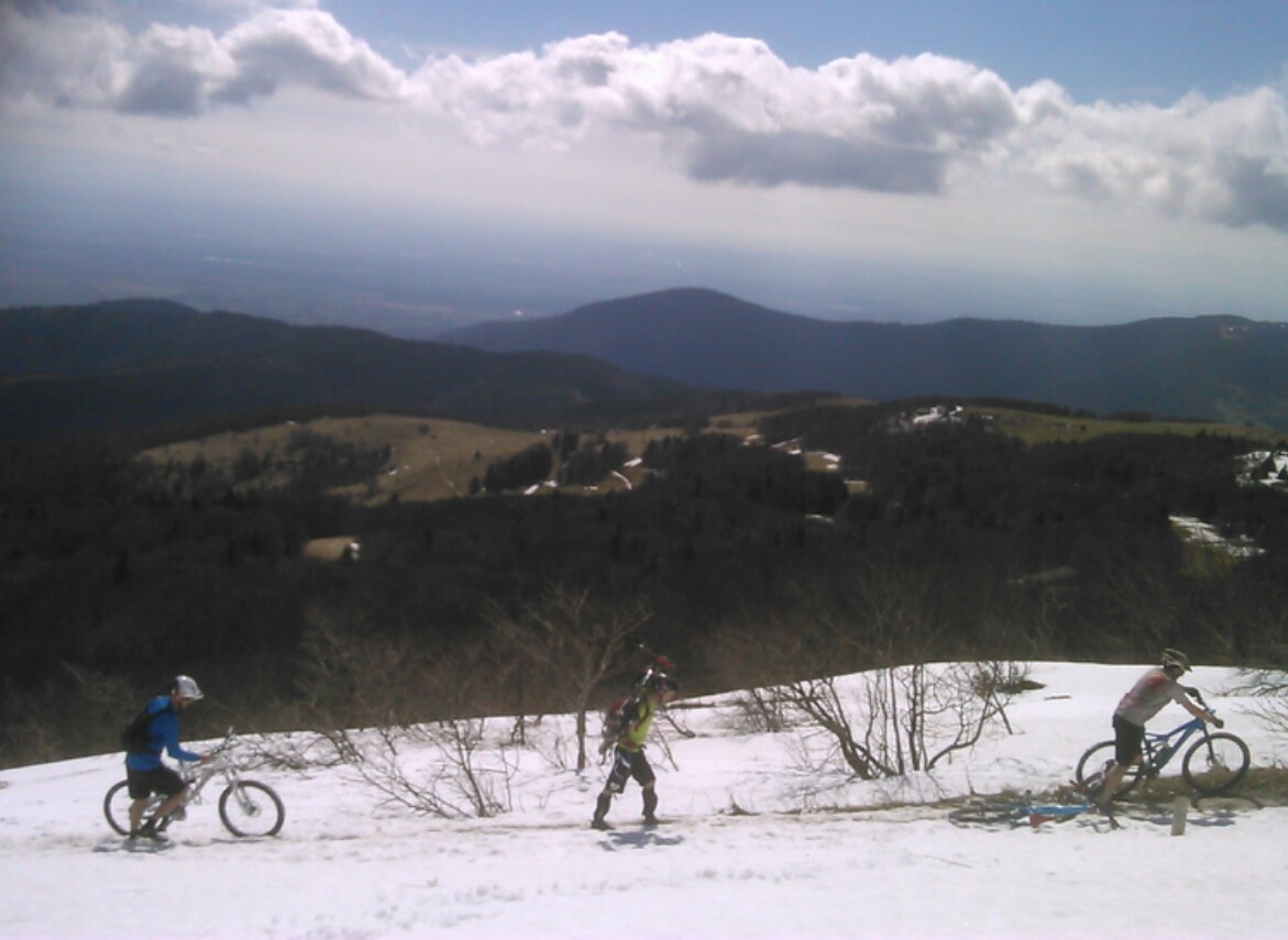 IMG_20150412_154323.jpg