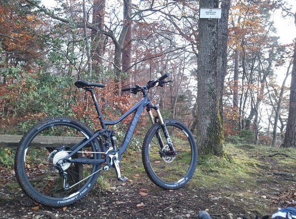27.5.jpg