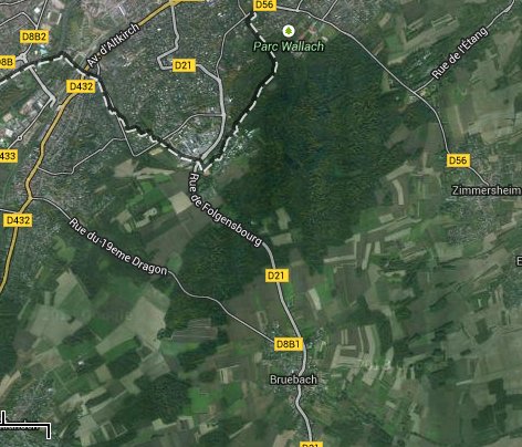 la forêt où l'on va rouler