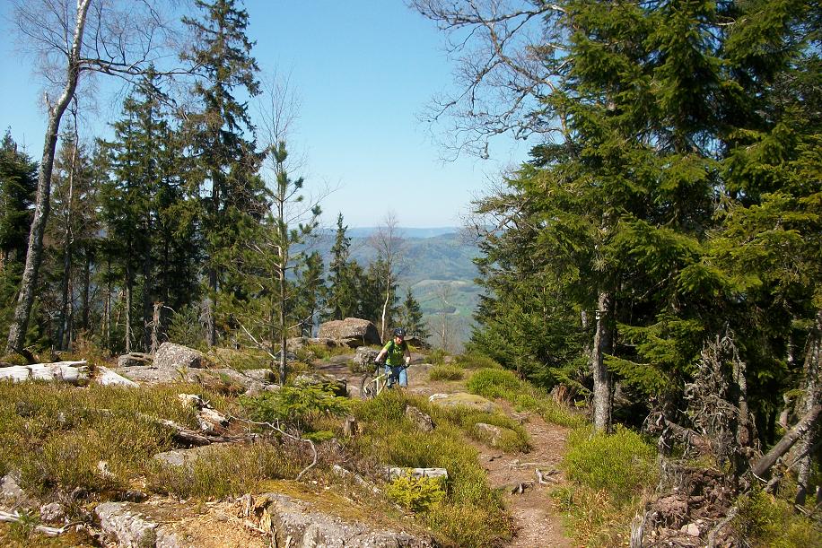 Taenschel 003.JPG