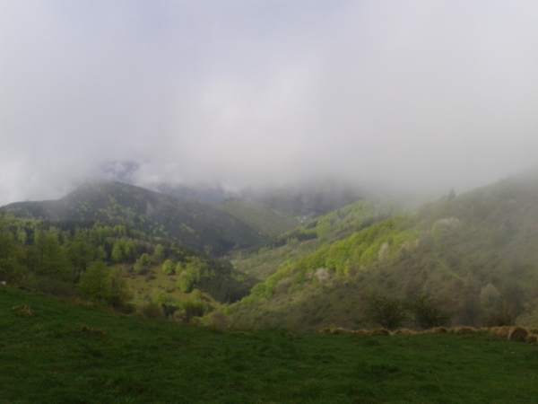 WP_001117.jpg