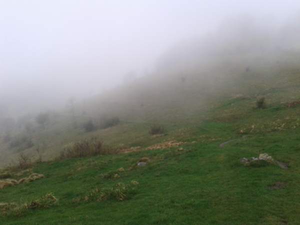 WP_001118.jpg