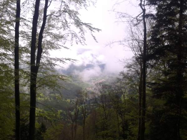 WP_001119.jpg