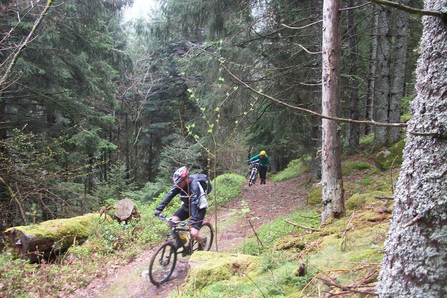 Weekend VTT ALSACE 2015 028.JPG