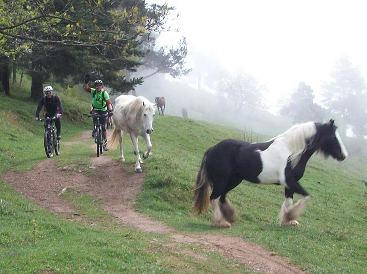 Weekend VTT ALSACE 2015 024.JPG