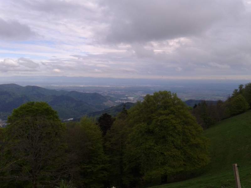 WP_001125.jpg
