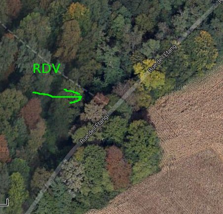 le chalet dans la forêt