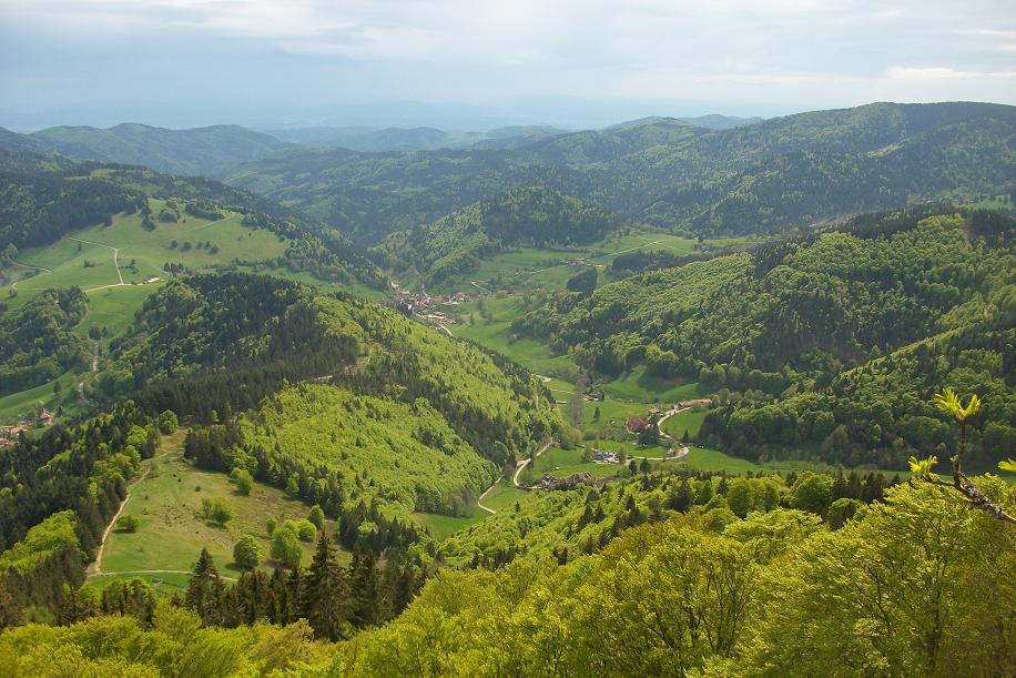 Rando dans la Schwartwald 014.JPG
