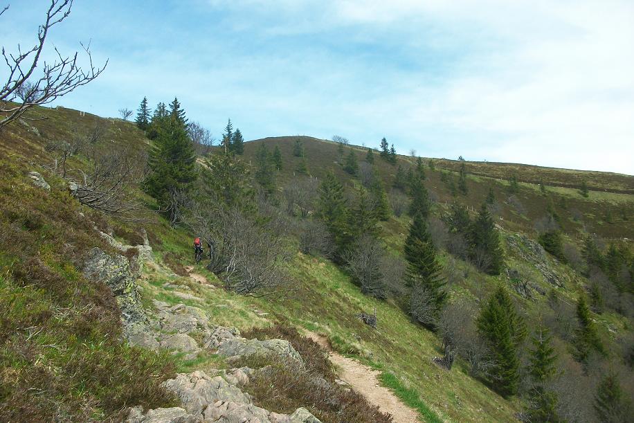 Rando dans la Schwartwald 009.JPG