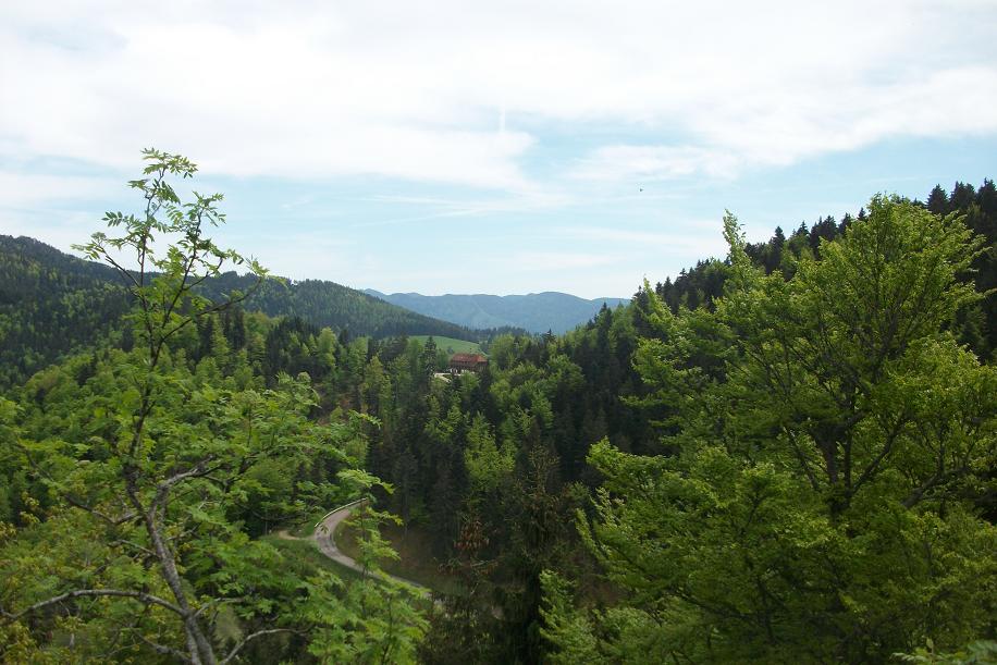 Rando dans la Schwartwald 005.JPG